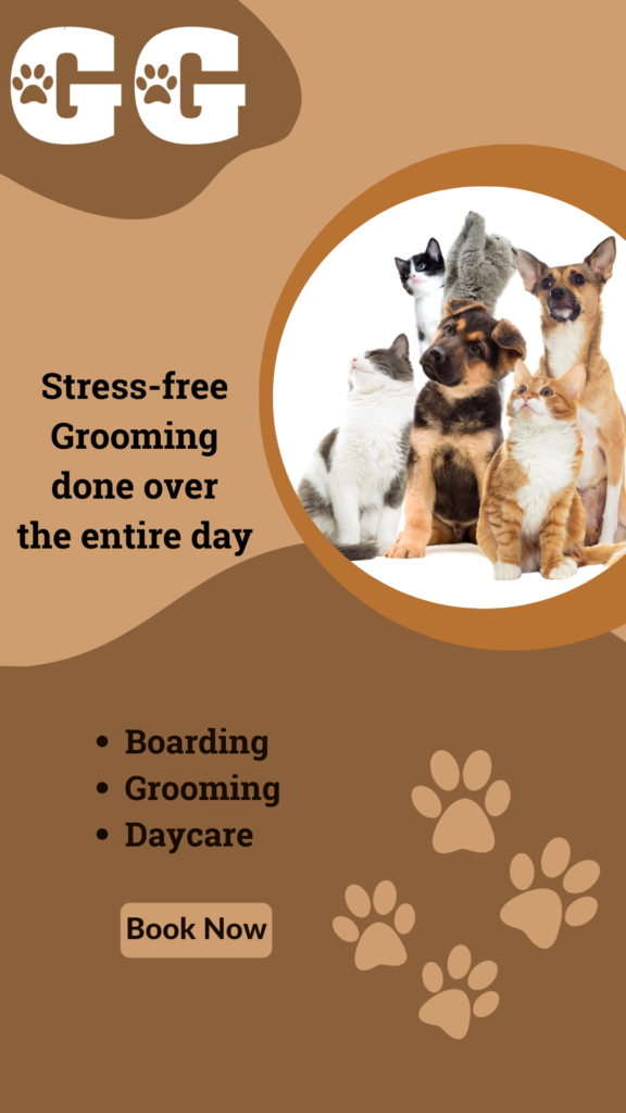 Cream Simple Dog Grooming Salon & Shop Promotion