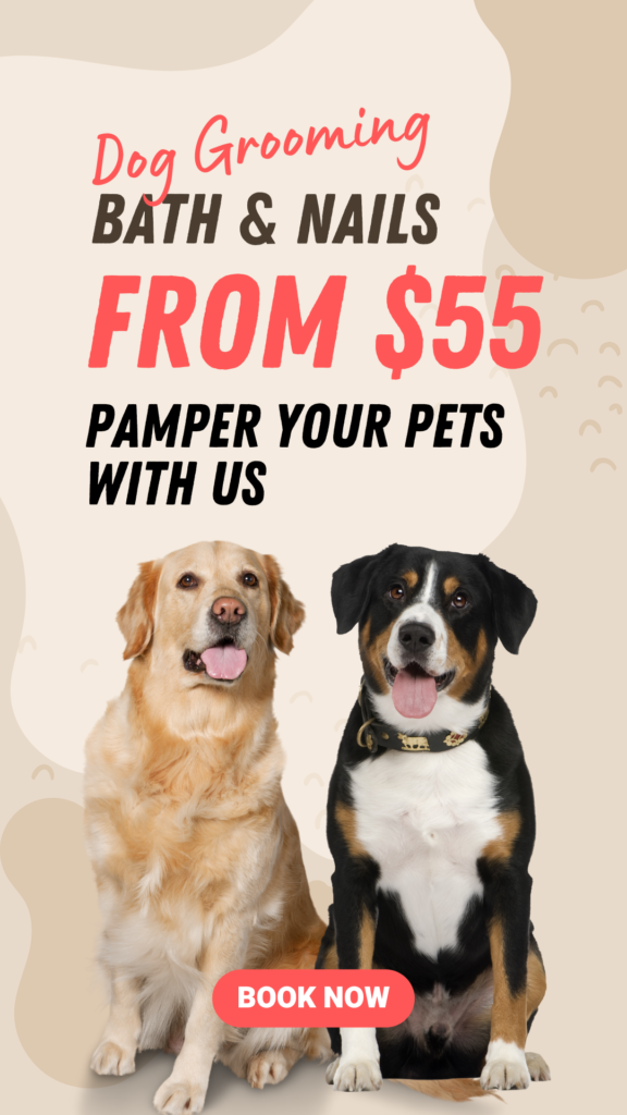 Cream Simple Dog Grooming Salon & Shop Promotion