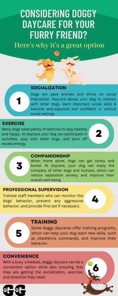 Doggy Daycare infographic