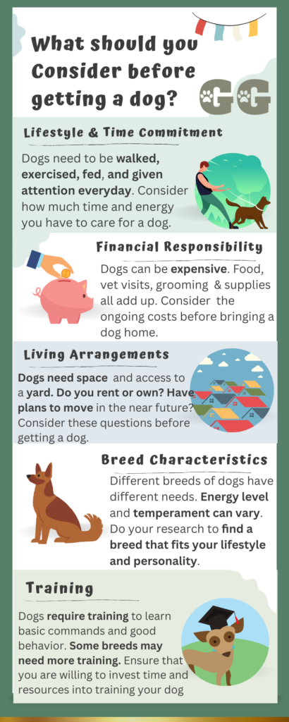 before getting a dog infographic